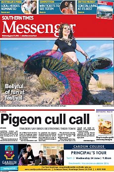 Southern Times - June 17th 2015